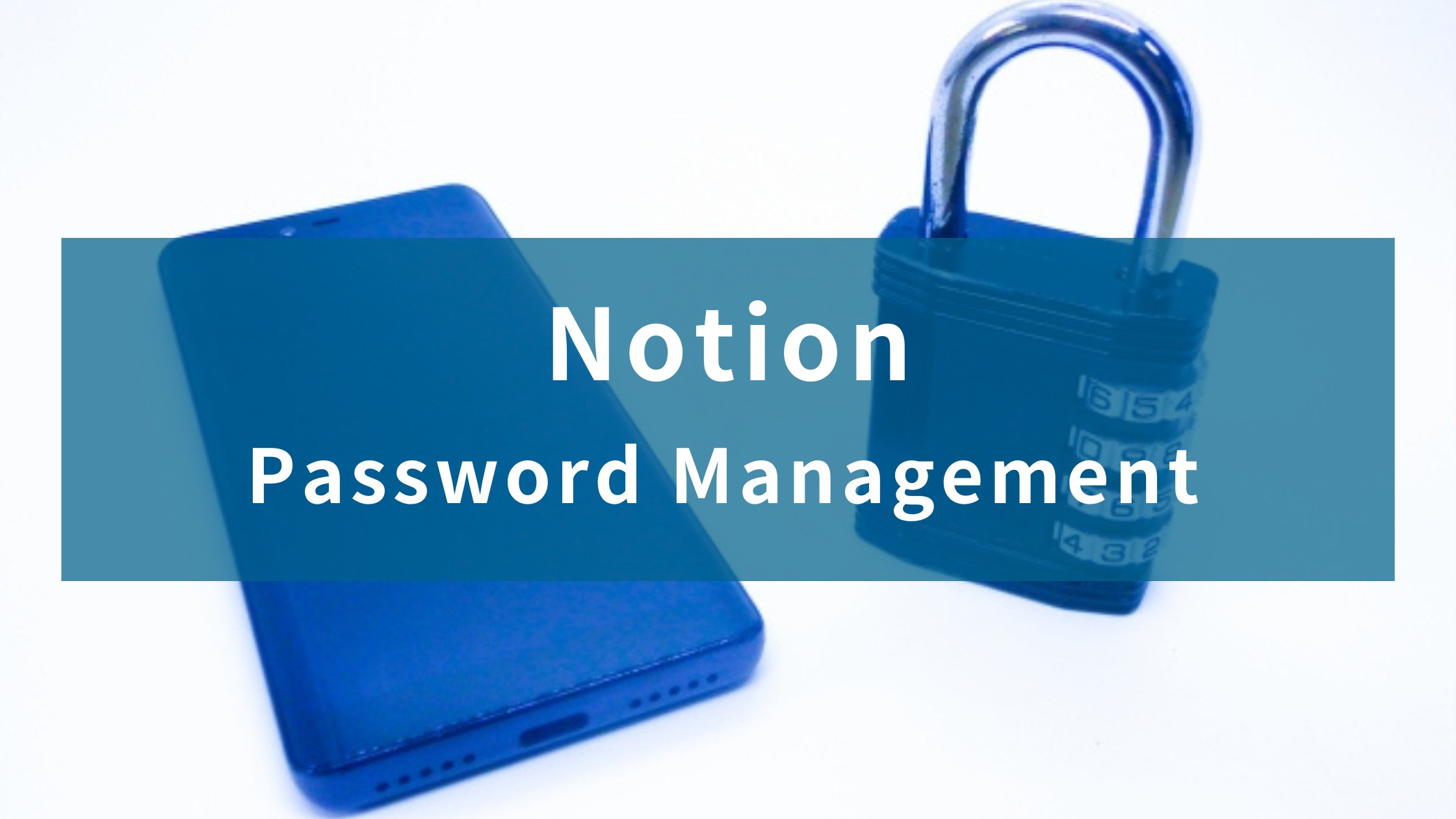 Passwortverwaltung in Notion